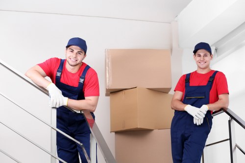 Professional movers handling a flat move in Roehampton